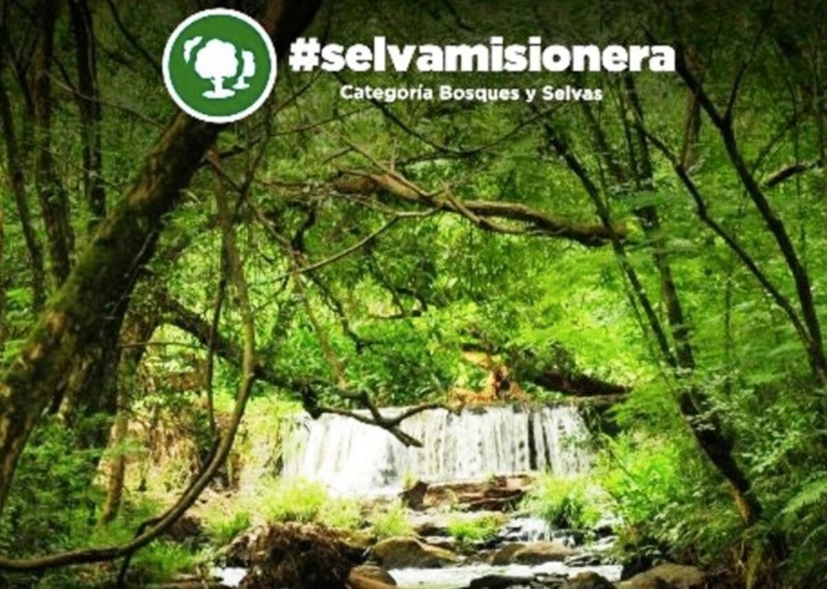 Estas son las 7 maravillas Naturales de la Argentina, elegidas por el voto popular