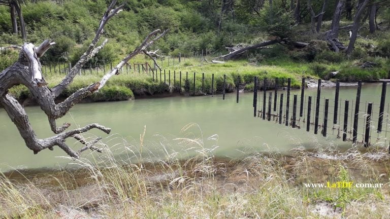 Insólito: un empresario fueguino se adueñó del Río Olivia y lo alambró.  Fotos: Latdf.