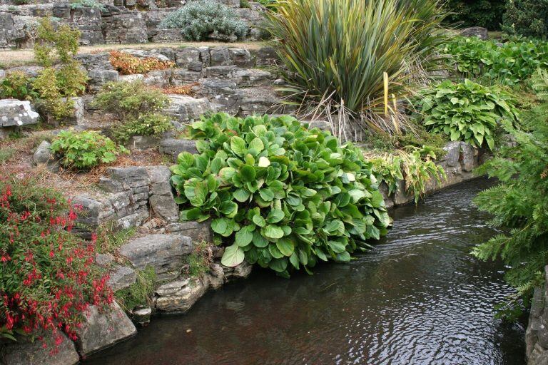 Jardinería, entre otros oficios.