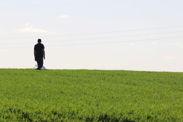 Productor agropecuario - Ramiro Bustinza