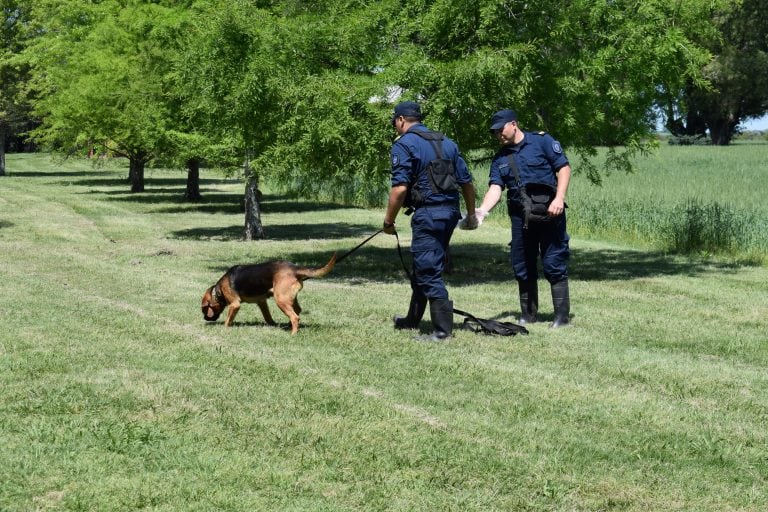 Rastrillaje en Urdinarrain
Crédito: Policía Departamental