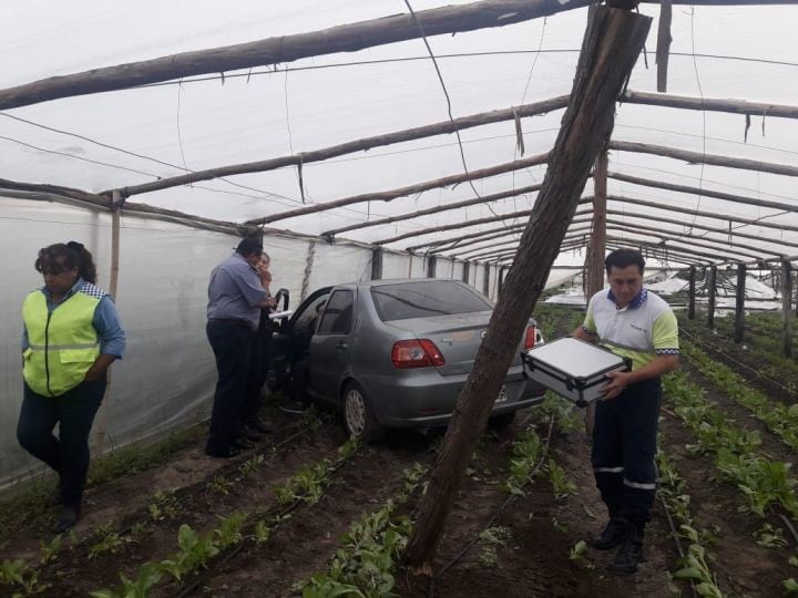 Una mujer perdió el control de su auto y terminó dentro de un tendalero