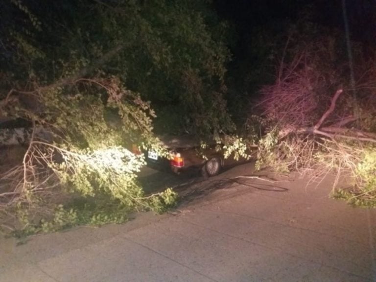 Lo que dejó el temporal de viento en Bahía