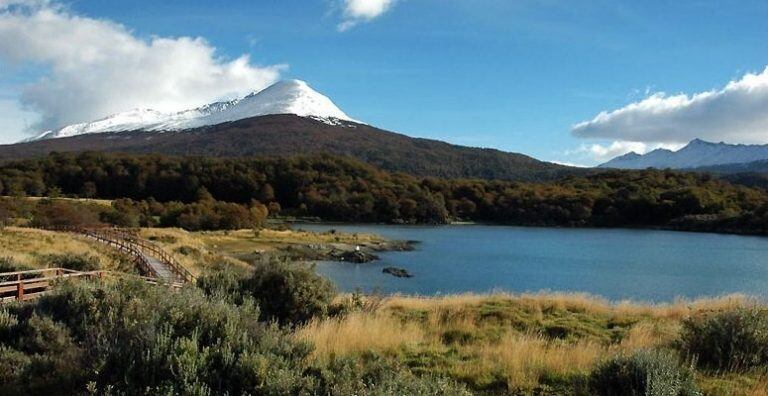 Naturaleza fueguina