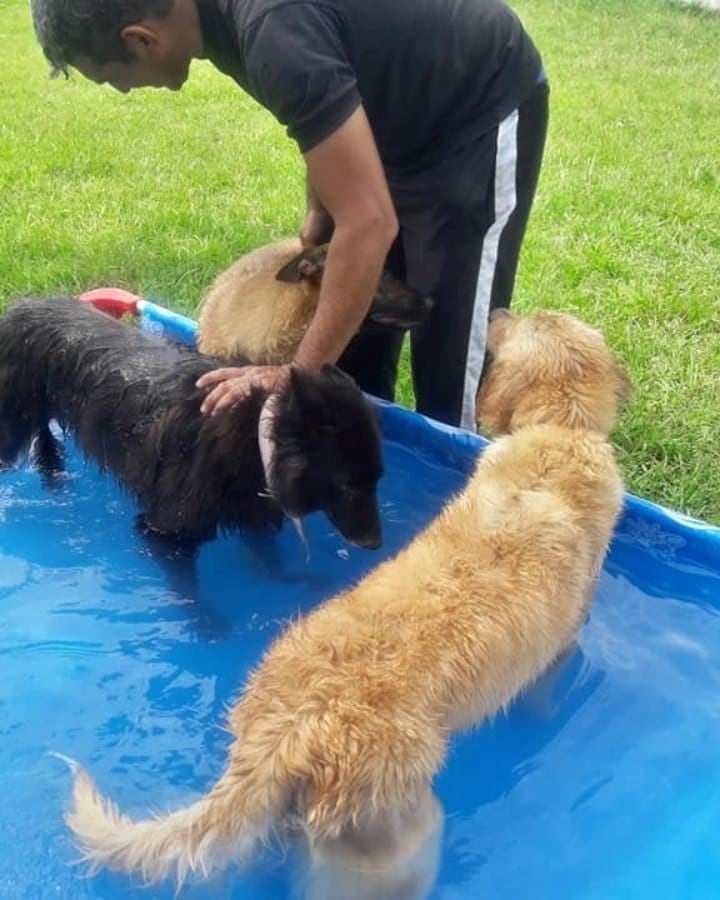 Perros de la Policía de Corrientes (Facebook)