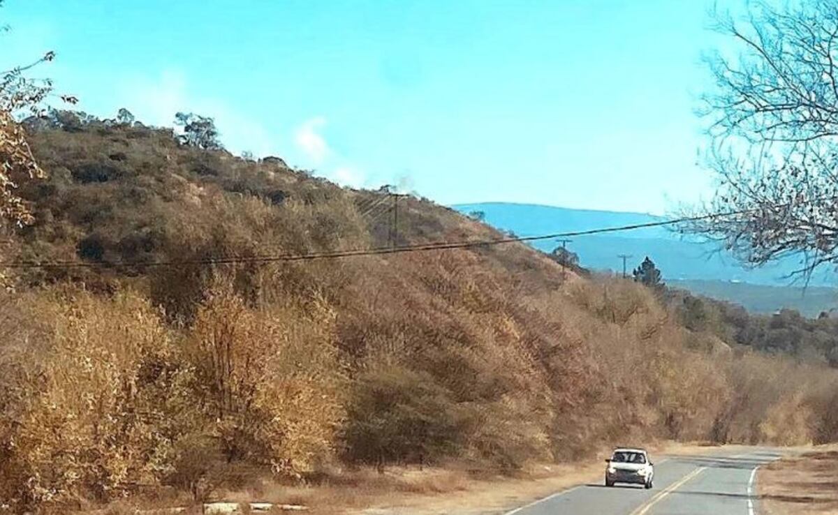 Se reactivó el incendio forestal en Carlos Paz
