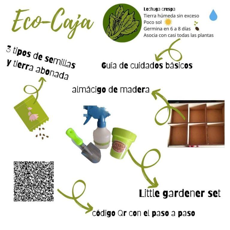 “Eco-Cajas” para armar pequeñas huertas en casa.