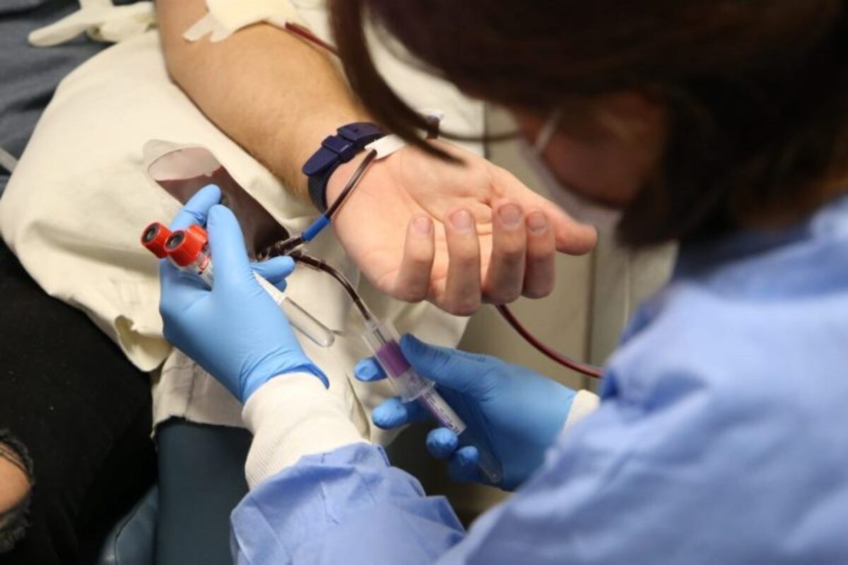 Tierra del Fuego ya cuenta con su propio banco de plasma