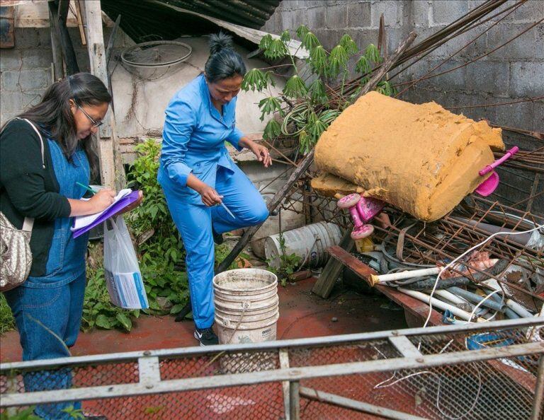 Descacharrado para evitar la proliferación del mosquito transmisor.