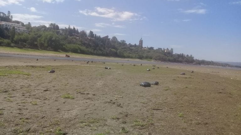 Recolección de basura en el Lago San Roque.