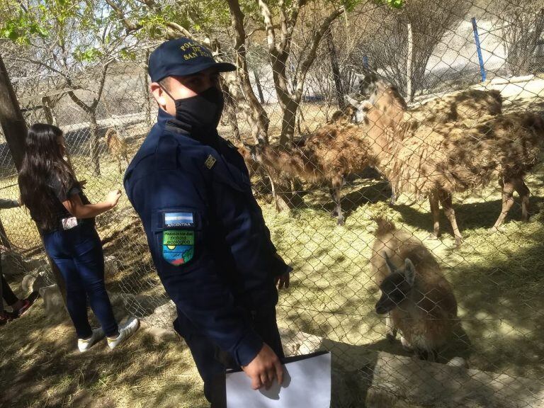 El ejemplar fue enviado al Parque Faunístico.