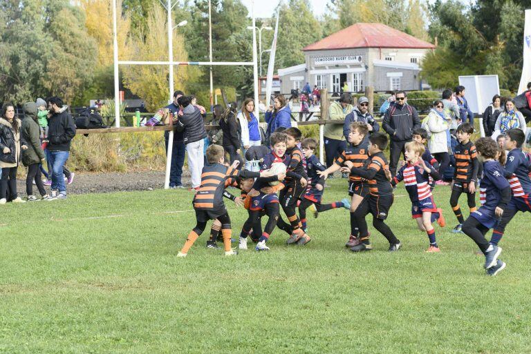 Comodoro Rugby Club