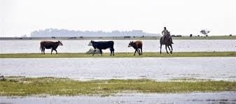 Estragos causados por las inundaciones (Web).