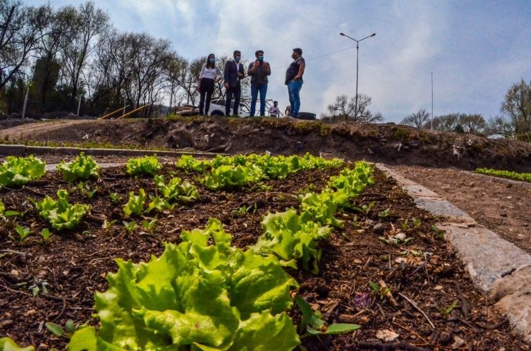 La Calera: visita al vivero municipal.