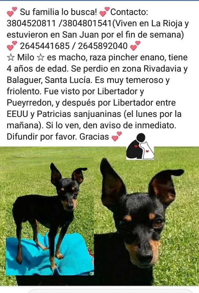 El aviso para recuperar al perrito.