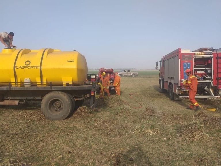 Los incendios en San Ambrosio provocaron que se quemaran las ovejas en un campo. (LV16 Radio Río Cuarto)