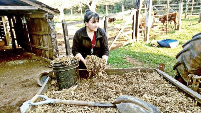 Eliana trabaja en una chacra y estudia