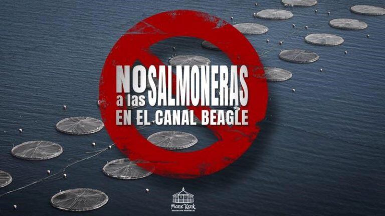 No a las Salmoneras en el Beagle