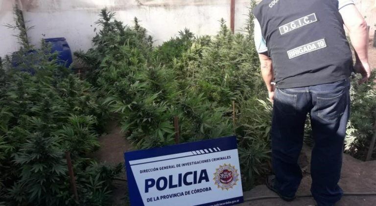 Llamativo secuestro de drogas y municiones en una vivienda de barrio San Roque. (Policía)