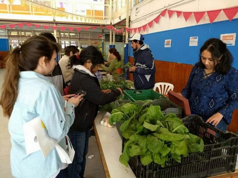 Feria de pecios bajos en Ushuaia y Río Grande