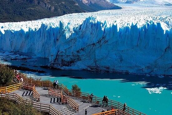 El calafate glaciar