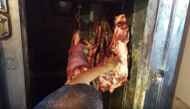 Decomisaron 250 kilos de carne (Foto: Ministerio de Producción Santiago del Estero)