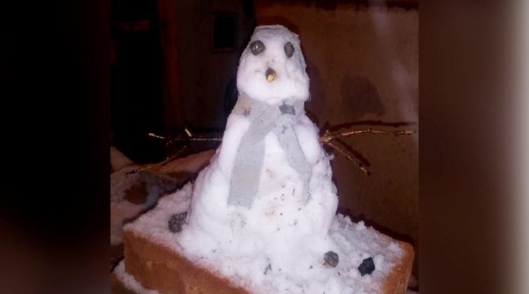 La gente salió a divertirse y armó muñecos de nieve (Facebook)