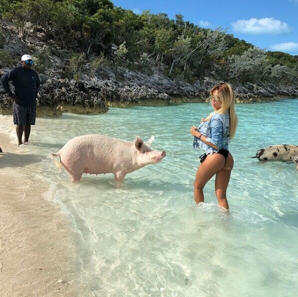 Las fotos bizarras de Claudia Ciardone en la playa rodeada de chanchos. (Foto: Instagram)