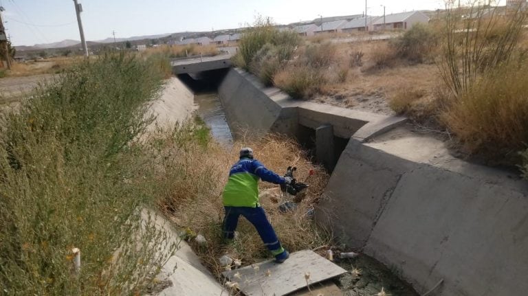 Las tareas de limpieza fueron incesantes ayer.