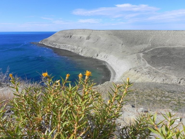 Reserva Punta del Marqués.