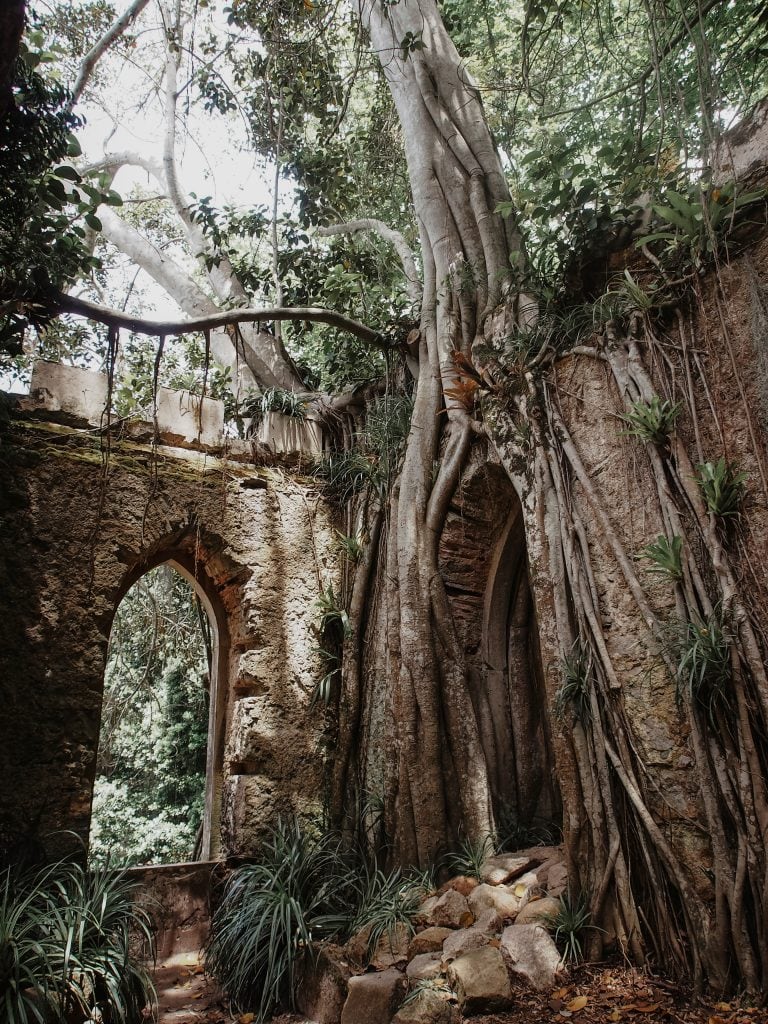 Consu Juncosa. Viajes