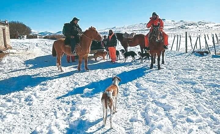 En medio de la nieve por Internet.