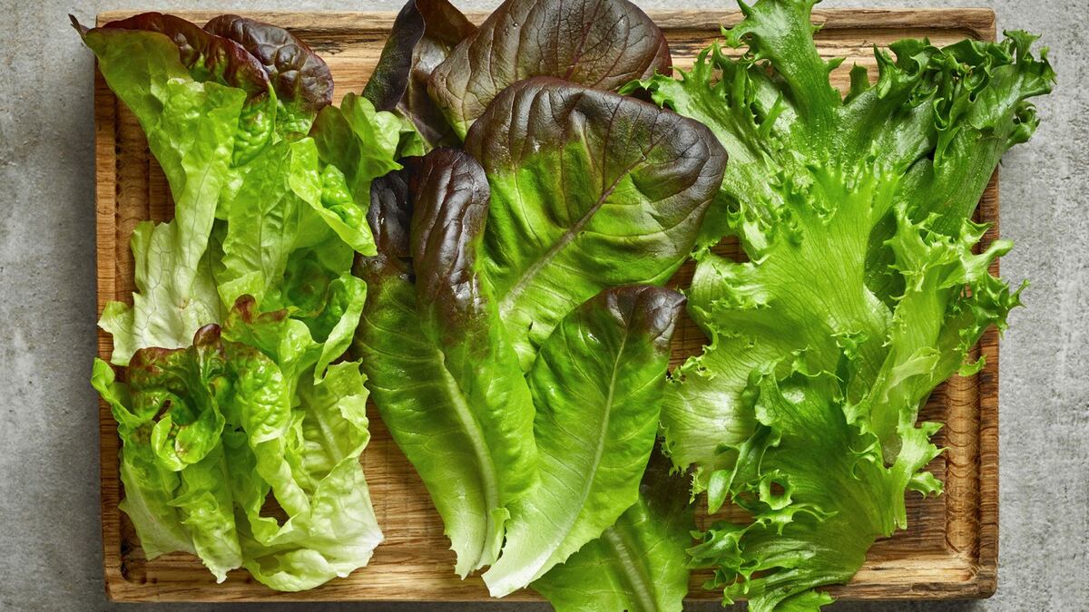 Decile que sí al verde: cinco verduras de hoja fundamentales para sumar a tu alimentación