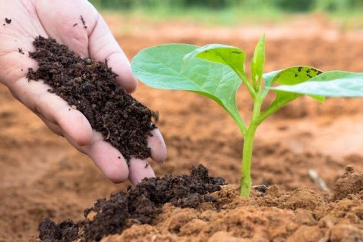 Mendocinos podrán hacer el curso de "Buenas Prácticas Agrícolas"