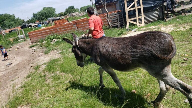 Juanchi fue encontrado en Rosario.