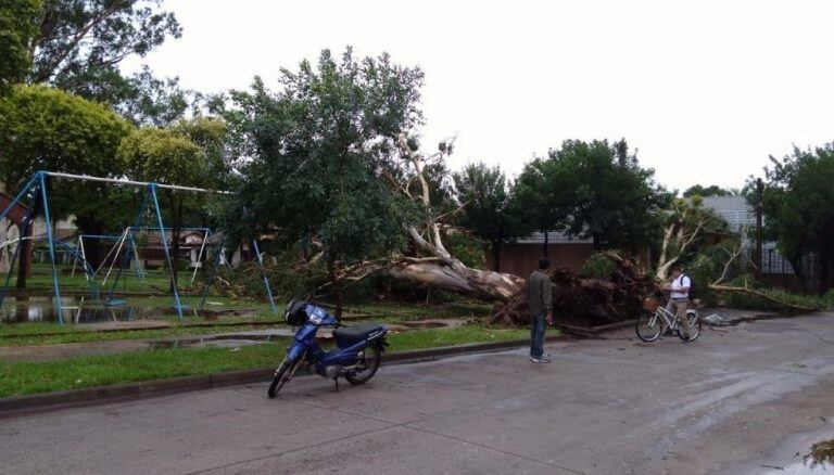 Temporal en Corrientes. (Foto: Época)