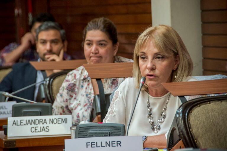 La diputada Liliana Fellner manifestó fuertes críticas al oficialismo en la Legislatura.