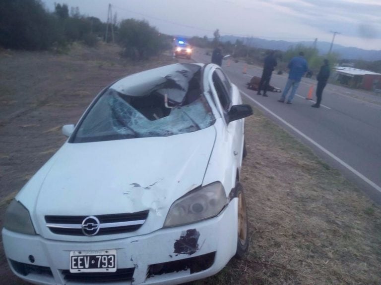 Un auto chocó a un caballo en San Luis,