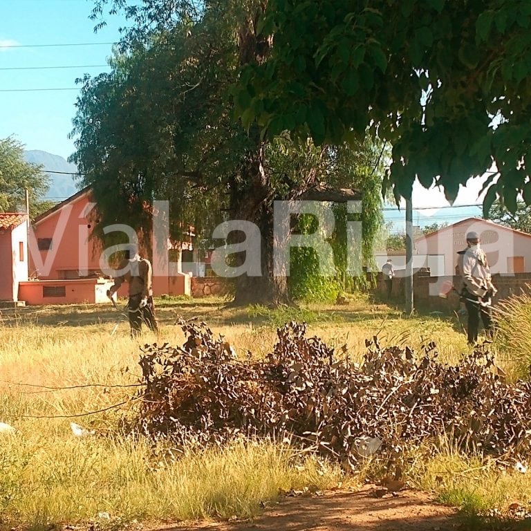 Limpieza y desmalezamiento en el Centro Administrativo Provincial - La Rioja