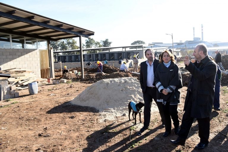 Avanzan las obras de la Guardería Municipal Transitoria de Animales del Imusa