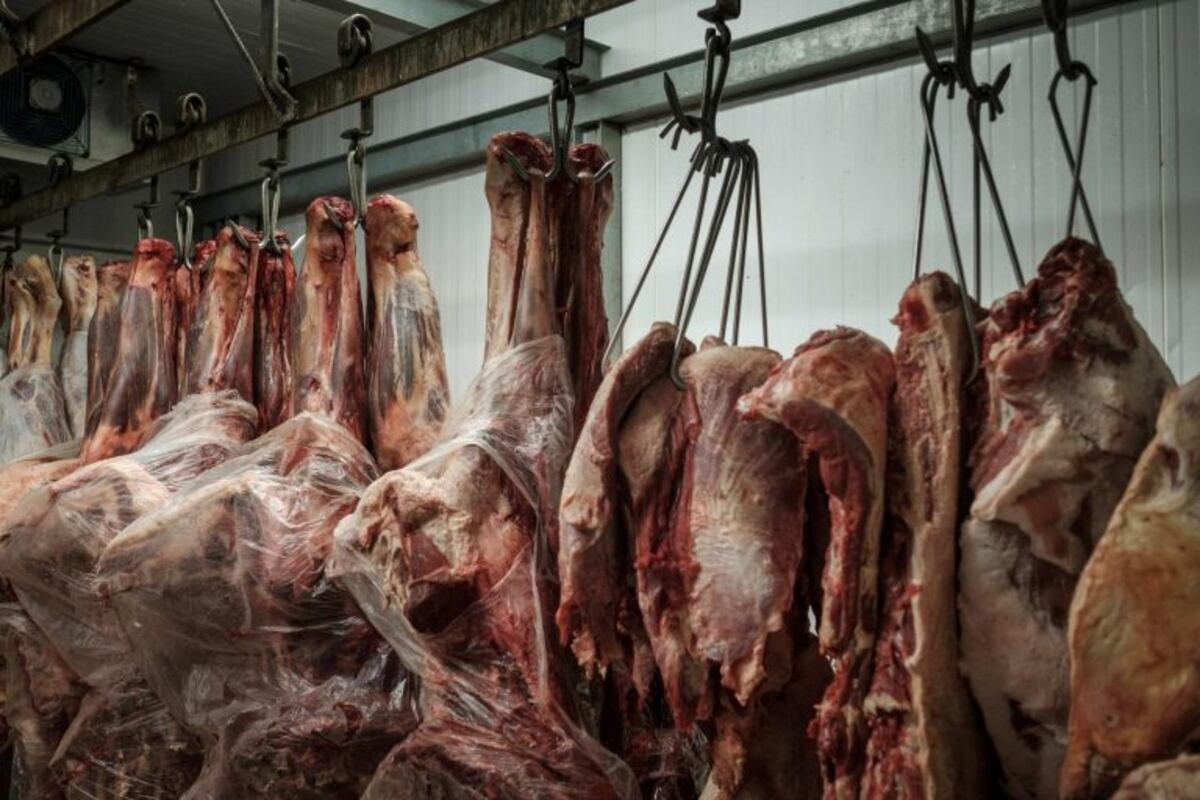 Nación otorgó ayuda económica a dos empresas santafesinas para sostener a su personal