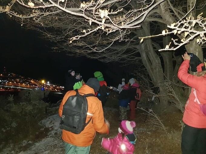 Primeras Caminatas Nocturnas Municipalidad de Ushuaia