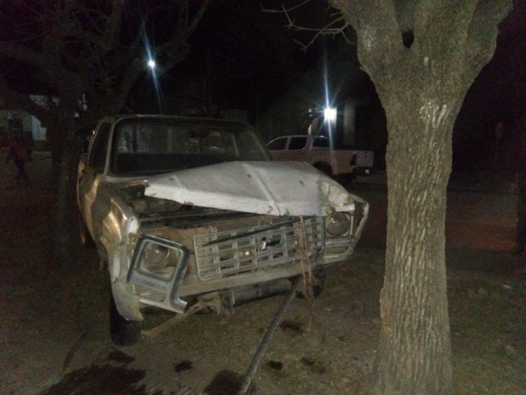 La camioneta impactó con un árbol.