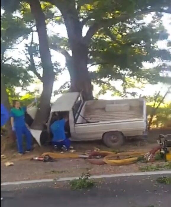 Camioneta Peugeot 504 se estrelló contra un árbol en Calle Larga.