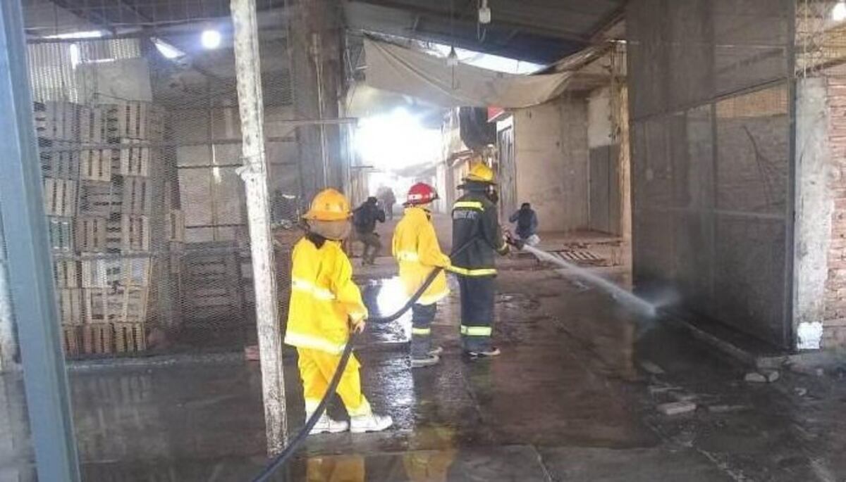Denuncian que el mercado de Orán es un foco infeccioso de hantavirus y dengue