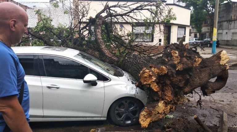 La tormenta dejó numerosos árboles caídos. (@somosnotrosario)