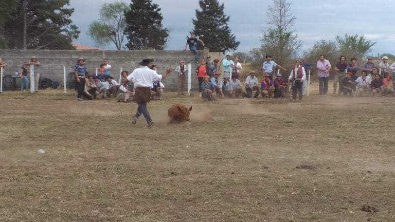 Expo pampa de Pocho