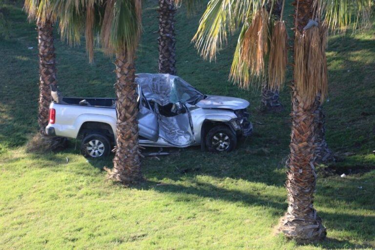 La camioneta quedó atrapada entre las palmeras de la Avenida.