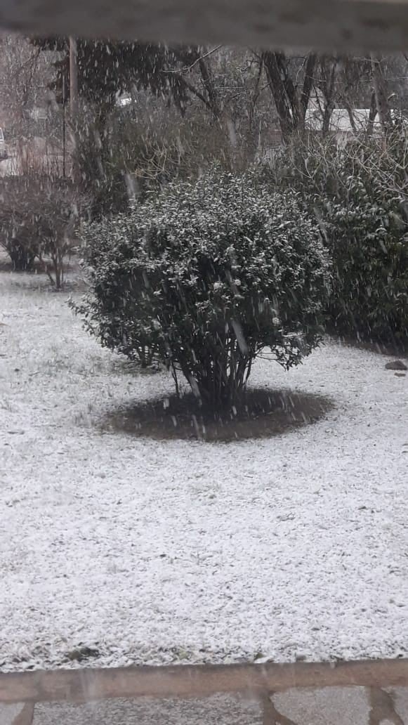 Las nevadas llegaron al sur provincia y agosto se despide con un paisaje vestido de blanco.