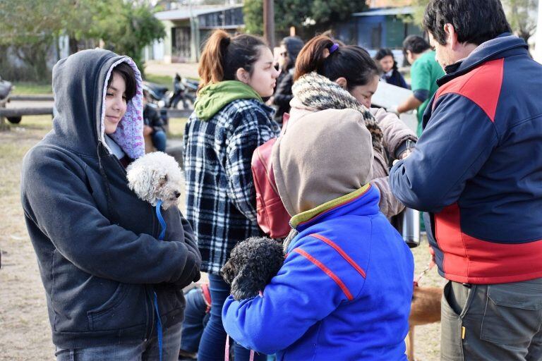 El programa Mascotas Saludables atiende a mil animales por mes